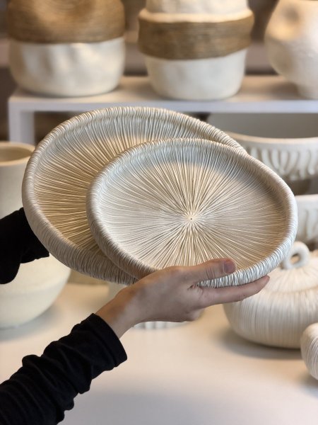 جاط فطر متعرج