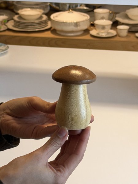 مملحة خشب فطر