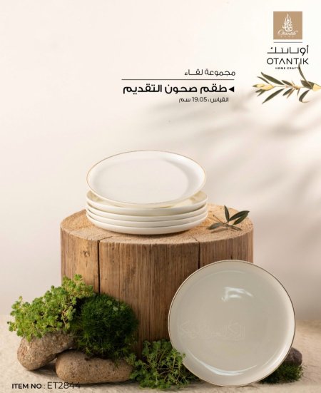 صحون تقديم عدد ٦ من لقاء ابيض دهبي